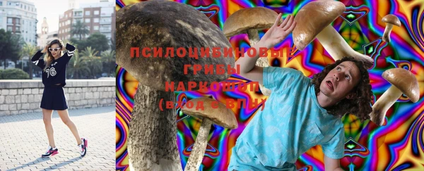 эйфоретик Абинск