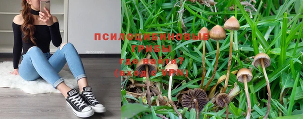 эйфоретик Абинск