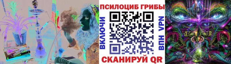 Галлюциногенные грибы мицелий  купить наркотики цена  hydra маркетплейс  Кызыл 